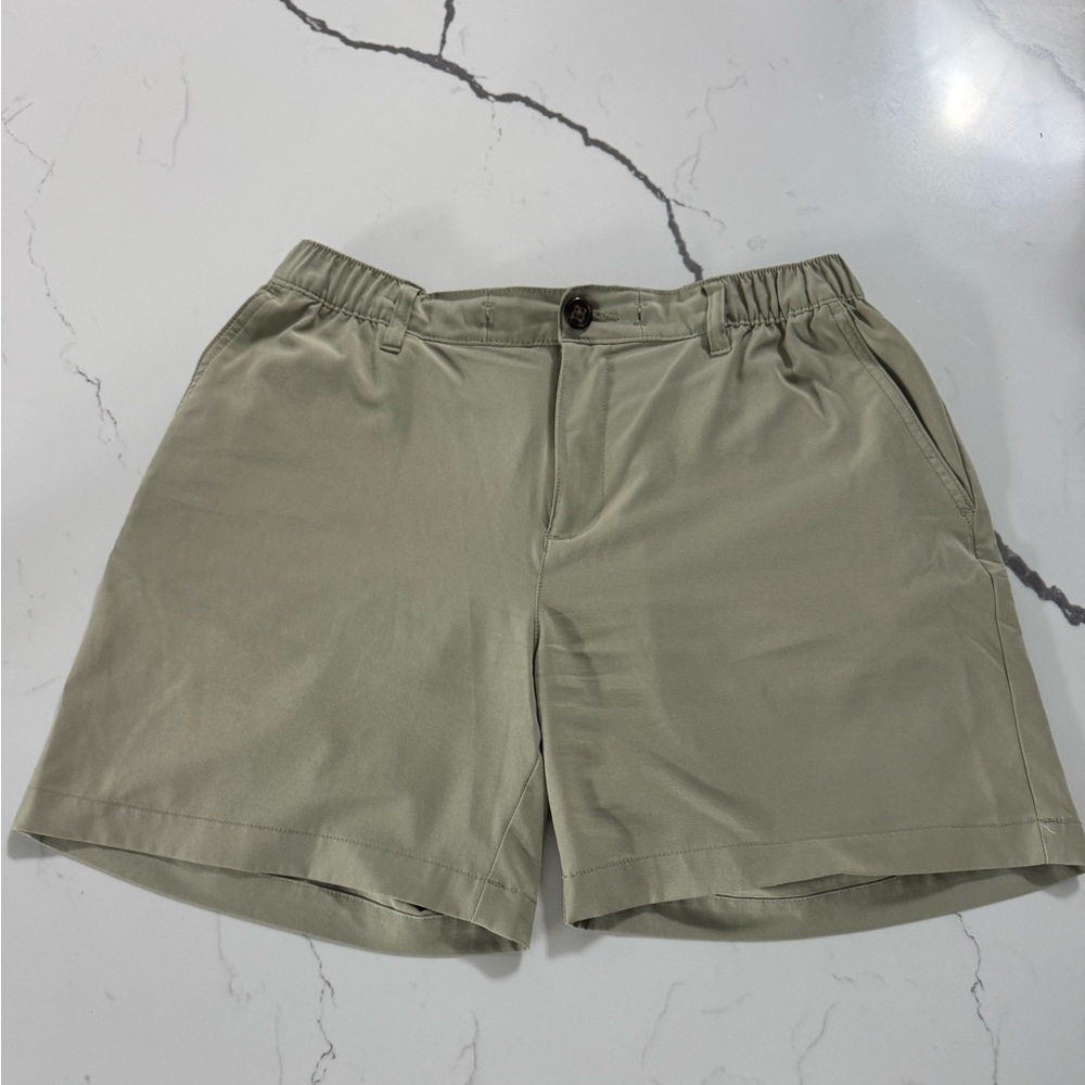 Chubbies Light Gray/Greenish Shorts